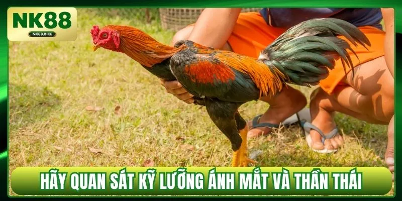 Hãy quan sát kỹ lưỡng ánh mắt và thần thái